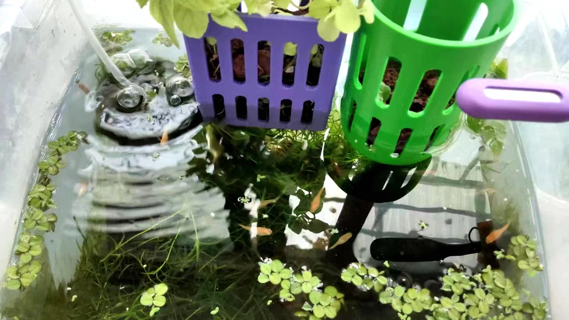 Giỏ Trồng Cây Thủy Canh (Hydroponic Plant Basket) - Image 5