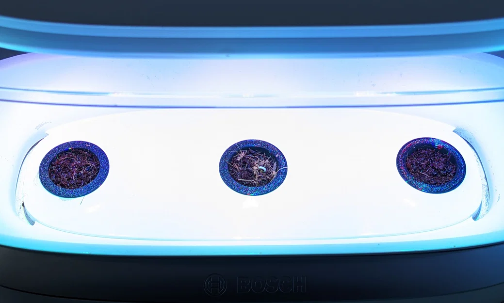 Viên nang gieo hạt Bosch Smart Grow / Plantui (seed capsule) - Image 2