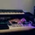Hippo_2198714