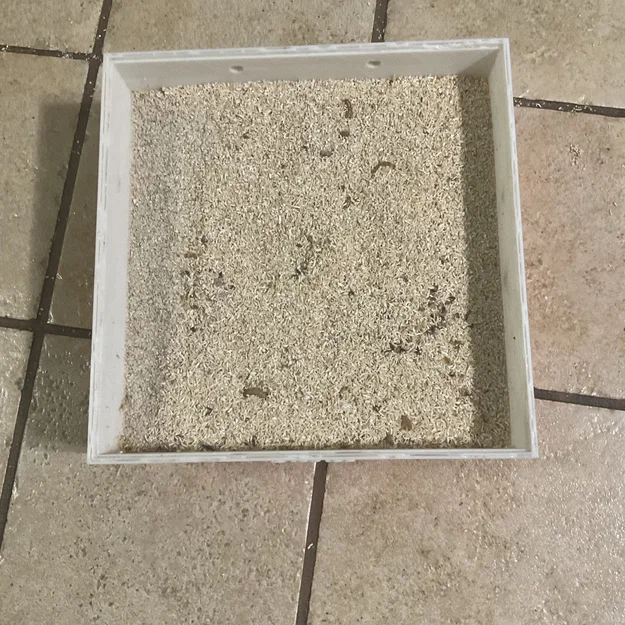 Bộ sàng mealworm và nhộng (pupa) in 3D - Image 4