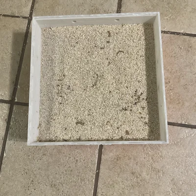 Bộ sàng mealworm và nhộng (pupa) in 3D