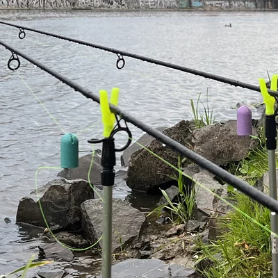 Swinger Bobbin Câu Cá Chép (Carp Fishing Swinger Bobbin)