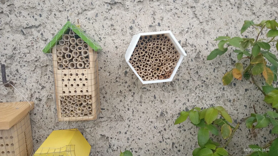 Tổ Ong (Bee Hive) cho ong hoang dã - Image 1