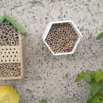 Tổ Ong (Bee Hive) cho ong hoang dã