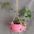 Chậu cây treo tường hình Axolotl đáng yêu bằng in 3D - Thumbnail 1