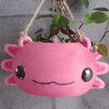 Chậu cây treo tường hình Axolotl đáng yêu bằng in 3D - Thumbnail 2