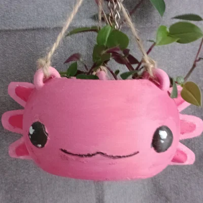Chậu cây treo tường hình Axolotl đáng yêu bằng in 3D