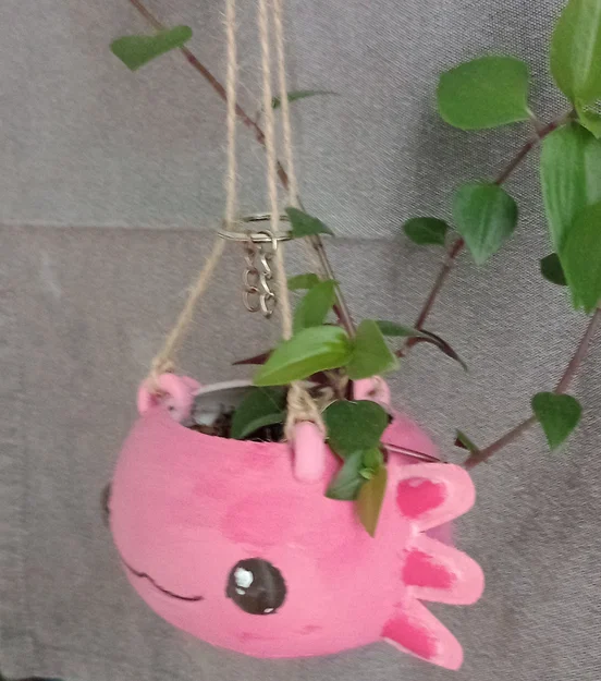 Chậu cây treo tường hình Axolotl đáng yêu bằng in 3D - Image 3