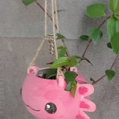 Chậu cây treo tường hình Axolotl đáng yêu bằng in 3D