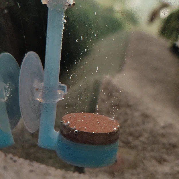 Bộ khuếch tán CO2 cho hồ thủy sinh (Aquarium CO2 diffuser) - Image 1