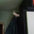 Móc treo đồ độc đáo hình thù táo bạo (Sex Clothes Hanger) - Thumbnail 5