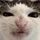 CameronBrown_3615727