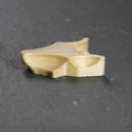 Mặt dây chuyền hình cáo (Fox pendant) độc đáo cho tín đồ in 3D - Thumbnail 4