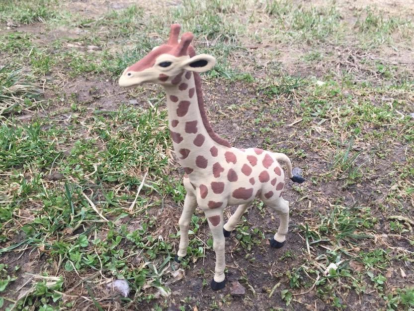 Hươu cao cổ (Giraffe) - Image 1