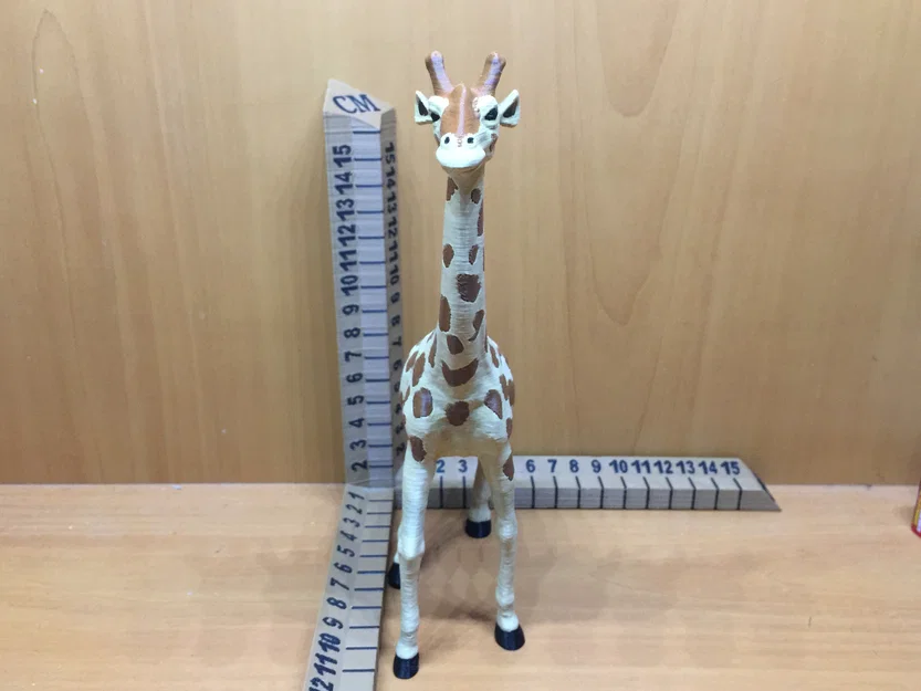Hươu cao cổ (Giraffe) - Image 2