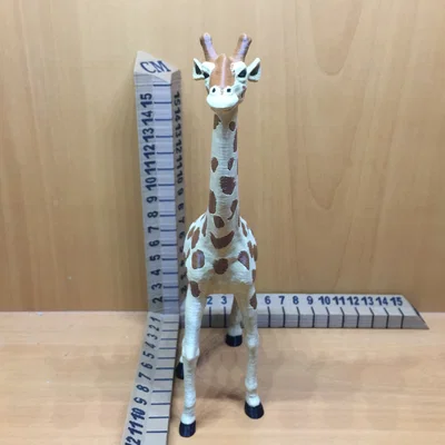 Hươu cao cổ (Giraffe)