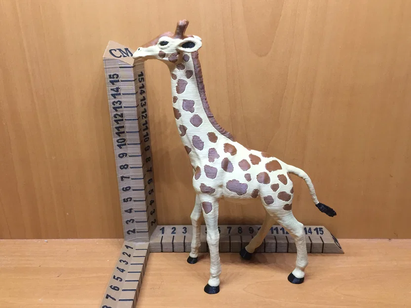 Hươu cao cổ (Giraffe) - Image 3