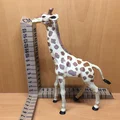 Hươu cao cổ (Giraffe) - Thumbnail 3