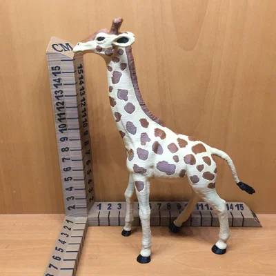 Hươu cao cổ (Giraffe)