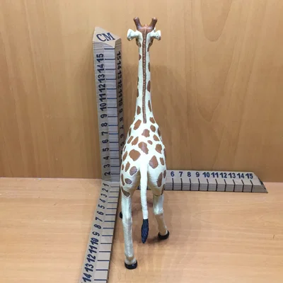 Hươu cao cổ (Giraffe)
