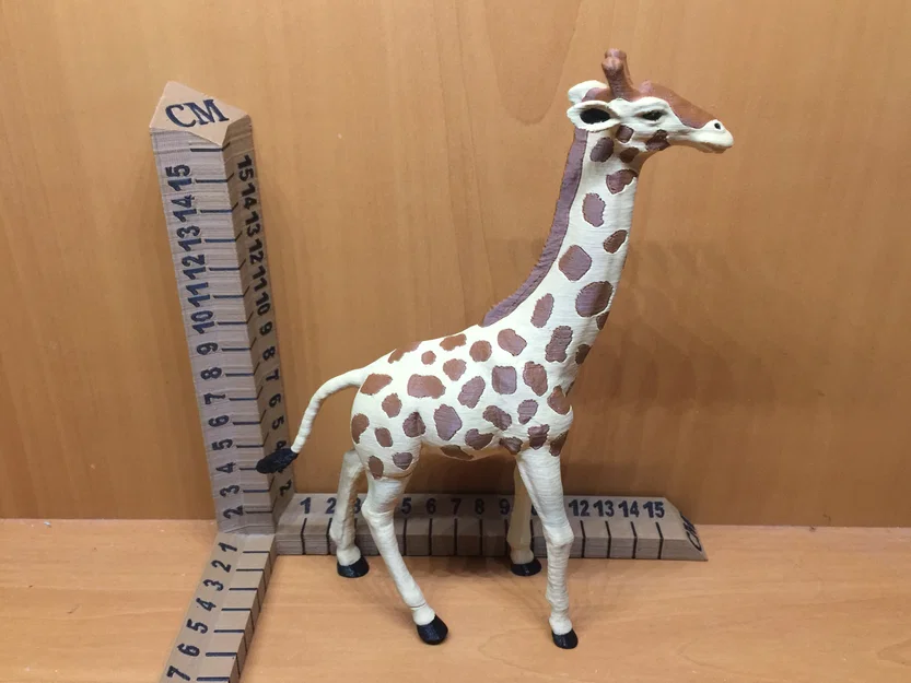 Hươu cao cổ (Giraffe) - Image 5