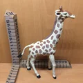 Hươu cao cổ (Giraffe) - Thumbnail 5