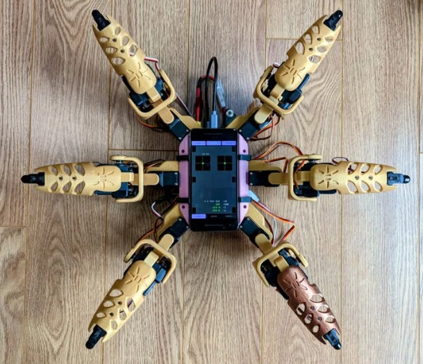 Make Your Pet - CHIPO - Image 1