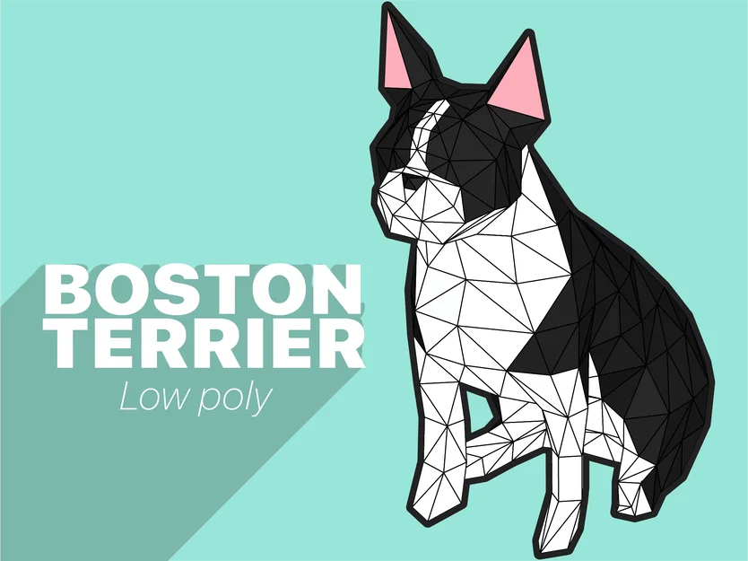 Boston Terrier - Low poly - Image 1