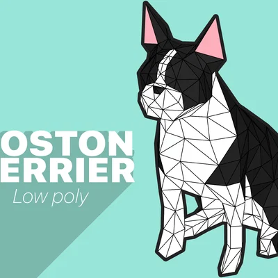 Boston Terrier - Low poly
