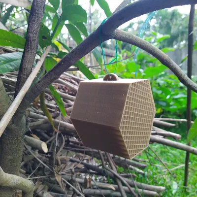 BEE HOTEL – Nhà cho ong treo cây (BEE HOTEL)