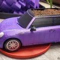 Chậu Mini Cooper Kèm Khay (Mini Cooper Planter With Tray) - Thumbnail 1