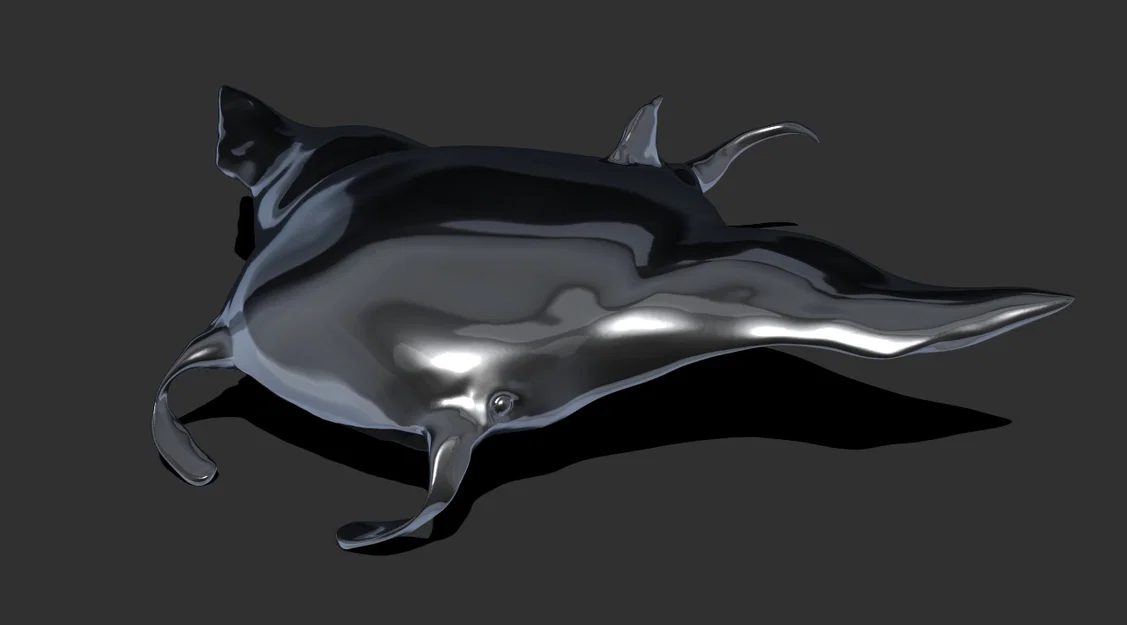Mô hình 3D cá đuối Manta (Manta Ray) trang trí độc đáo - Image 1