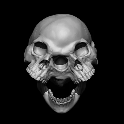 Mô hình hộp sọ kép Skull Conjoined nghệ thuật in 3D