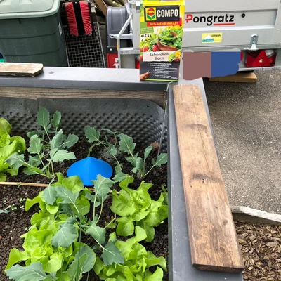 Bẫy ốc/sên (Schneckenfalle / snail trap)