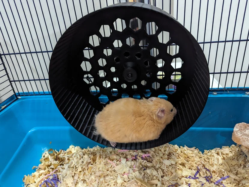 Hamster Wheel (Bánh xe chạy cho hamster) - Image 1
