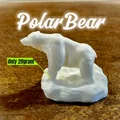 Gấu Bắc Cực (Polar Bear) - Thumbnail 1