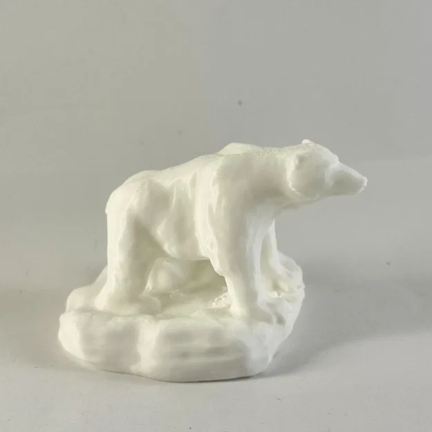Gấu Bắc Cực (Polar Bear) - Image 4