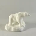 Gấu Bắc Cực (Polar Bear) - Thumbnail 4