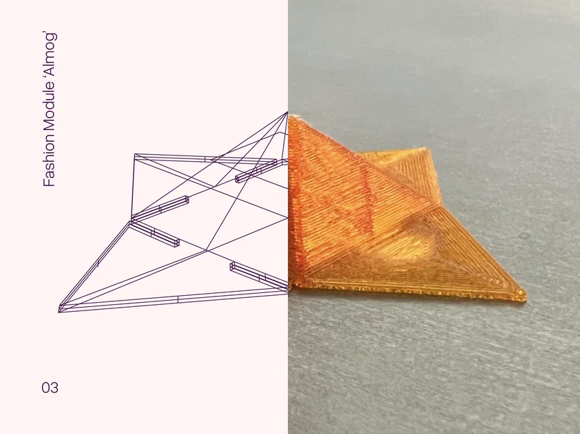 Fashion Module - Almog - Image 1