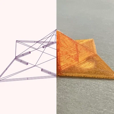 Fashion Module - Almog