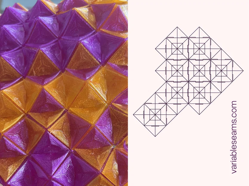 Fashion Module - Almog - Image 2