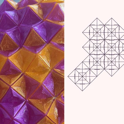 Fashion Module - Almog