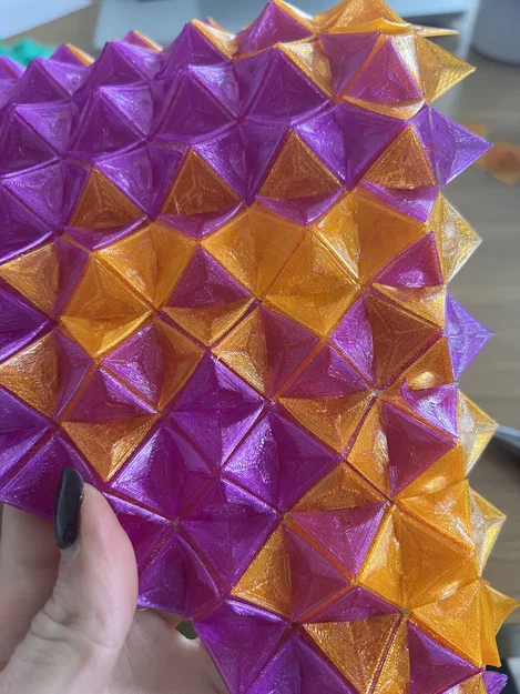 Fashion Module - Almog - Image 4