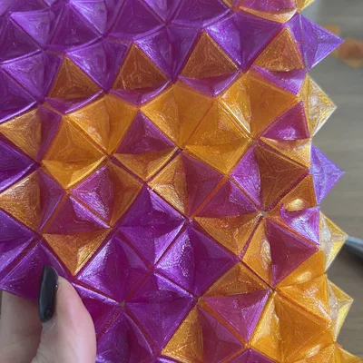 Fashion Module - Almog