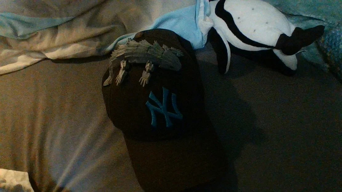 Mô hình thằn lằn (Ještěrka) 3D - Đồ trang trí nhỏ xinh độc đáo - Image 1