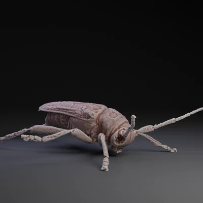 Mô hình 3D Bọ Cánh Cứng Longhorn Beetle chi tiết cho người yêu côn trùng