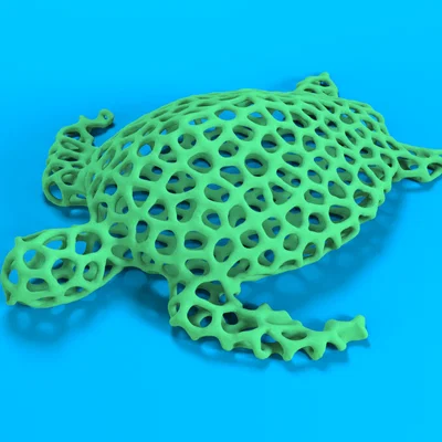 Rùa biển Voronoi – Hang trú ẩn cho cá nhỏ