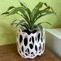 Chậu trồng cây Voronoi (Voronoi planter) - Thumbnail 1
