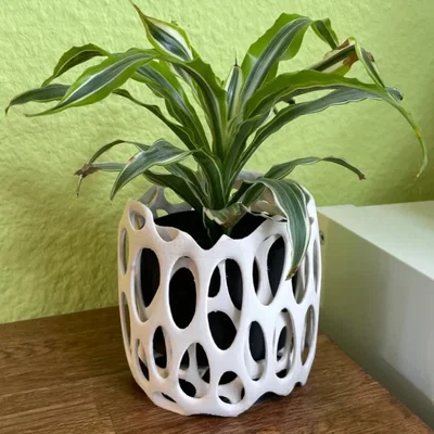 Chậu trồng cây Voronoi (Voronoi planter)