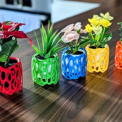 Chậu trồng cây Voronoi (Voronoi planter)